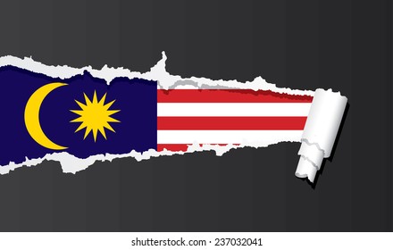 Flag of Malaysia under ripped paper vector illustration.