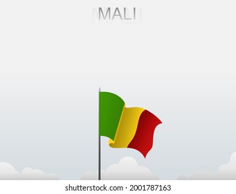 The flag of Mali is flying on a pole that stands tall under the white sky