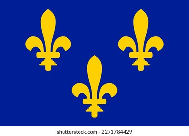 Flag of medieval France, with lilies.  Full size, vector