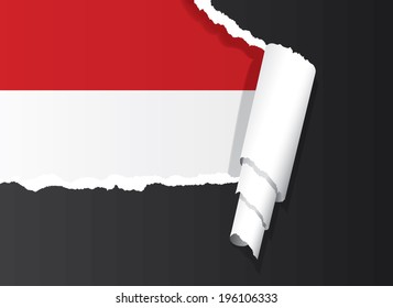 Flag of Monaco under ripped paper vector illustration.