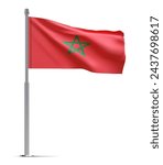 Flag of Morocco isolated on white background. EPS10 vector