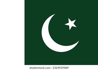 The flag of Pakistan. Flag icon. Standard color. Standard size. A rectangular flag. Computer illustration. Digital illustration. Vector illustration.