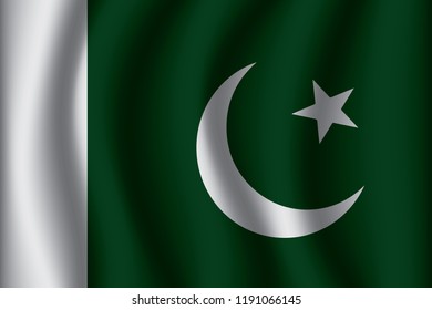 Flag of Pakistan. Pakistan Icon vector illustration eps10.