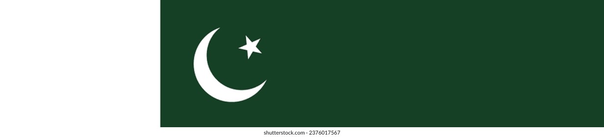 La bandera de Pakistán. Icono de rectángulo. Icono de marca. Color estándar. Una larga pancarta. Ilustración del equipo. Ilustración digital. Ilustración vectorial.