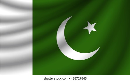 Flag of Pakistan, vector illustration