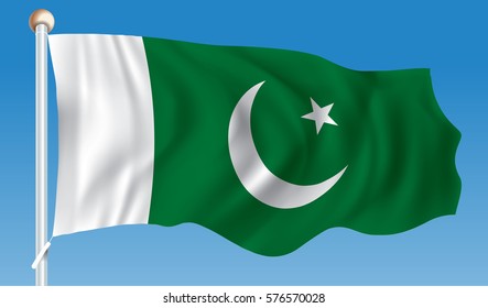 Bandera de Pakistán - ilustración vectorial