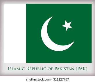 Flag of Pakistan.Pakistan flag vector.