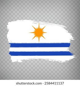 Flag of  Palmas city from brush strokes. Federal Republic of Brazil. Flag city Palmas of Tocantins on transparent background for your web site design, app, UI. EPS10.