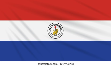 Flag Paraguay - back side swaying in wind, realistic vector.