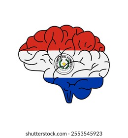 Flag of Paraguay. Vector illustration of a combination of a human brain with a country flag on a white background.