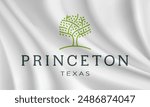 Flag of Princeton, Texas, USA. Realistic waving flag of Princeton vector background.