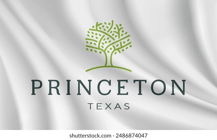 Flag of Princeton, Texas, USA. Realistic waving flag of Princeton vector background.