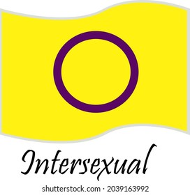 Flag representing the LGBTQI+ community