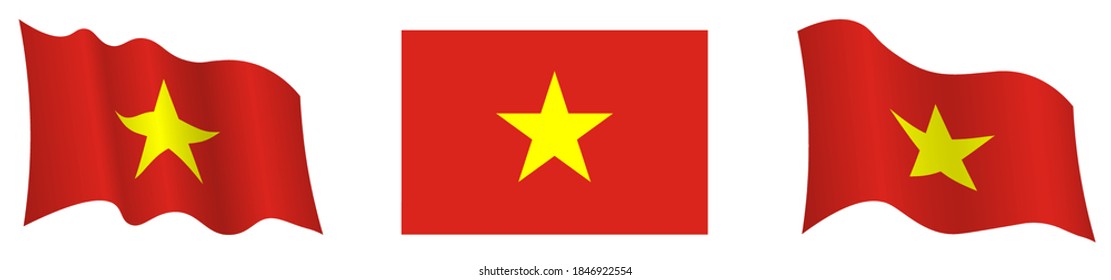 flag of republic of Vietnam in static position and in motion, developing in wind in exact colors and sizes, on white background