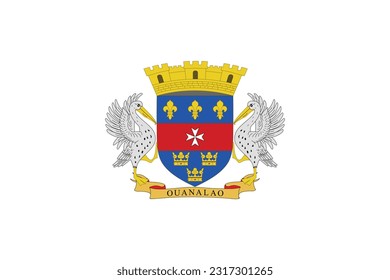 Flag of Saint Barthelemy - Vector illustration.
