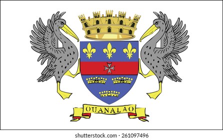 Flag of Saint Barthelemy. Vector illustration