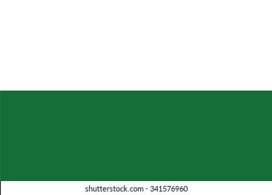 Flag of Saxony or Sachsen state of Germany. Vector illustration.