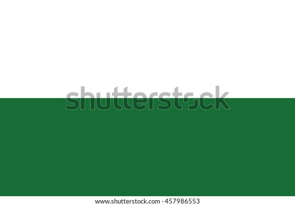 Flag Saxony Sachsen State Germany Vector Stock Vector Royalty Free 457986553