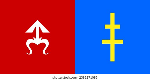 The of a  flag of Skarzhi district