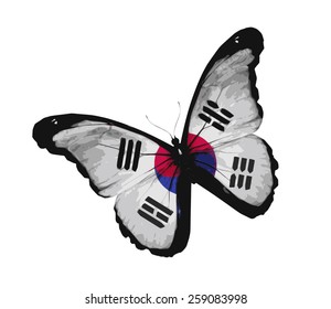 Flag of South Korea butterfly, isolated on white