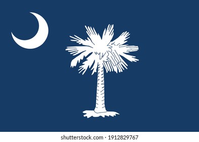 flag of the state of South Carolina