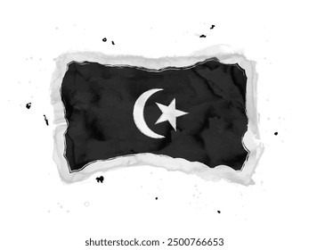 Flag of  Terengganu,  brush stroke background.  Flag State Terengganu of Malaysia on white background. Watercolor style for your design, app, UI.  EPS10