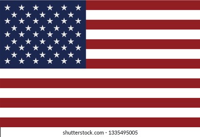 Flag of the United States vector