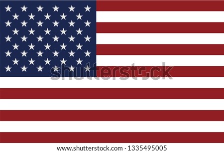 Flag of the United States vector