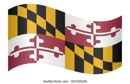 Flag of the US state of Maryland waving on white background, vector illustration. Maryland official flag, symbol. American patriotic element. USA banner. United States of America background.