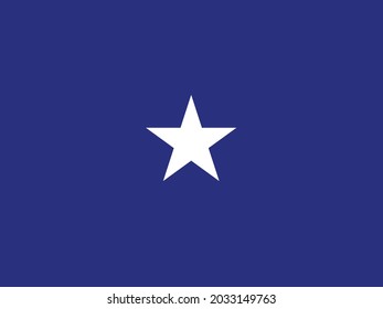 The flag of a USA airforce Brigadier General of a white star over a blue background