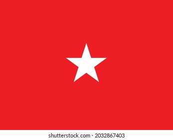 The flag of a USA army Brigadier General of a white star over a red background