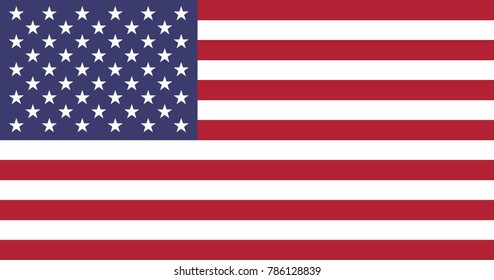 Flag of USA in national colors, vector