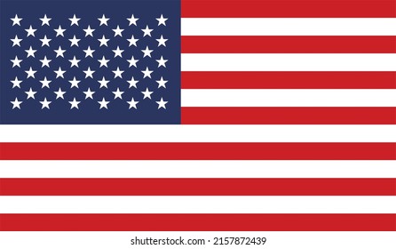 Flag of USA vector illustration