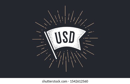 Flag USD. Old school flag banner with text USD. Ribbon flag in vintage style with linear drawing light rays, sunburst and rays of sun, text usd, dollar. Hand drawn design element. Vector Illustration