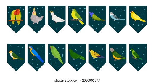 Flags garland for birthday party with tropical birds on colorful dark green background. Bunting wit lovebird cockatiel cockatoo macaw parrots. Hand drawn kid illustration. Vector design set.