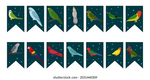 Flags garland for birthday party with tropical birds on colorful dark green background. Bunting wit kakariki, african grey jaco, barred and aratinga parrots. Hand drawn kid illustration.