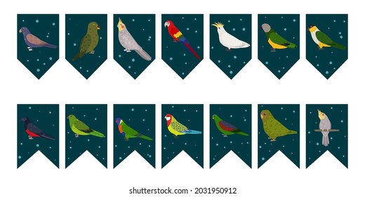 Flags garland for birthday party with tropical birds on colorful dark green background. Bunting wit kakapo cockatiel kea bronze wings parrots. Hand drawn kid illustration. Vector design set.