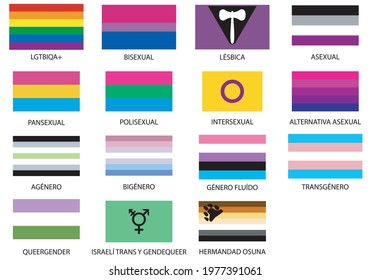 
Flags of the LGTBIQA + groups. Lesbians, flags of gay, transsexual, bisexual, intersex, asexual, mas, plus, pansexual, Israeli transgender, gender fluid and osuna brotherhood in Spanish text