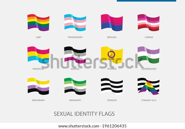 Flags Set Sexual Identity Pride Flag Stock Vector Royalty Free 1961206435 8924