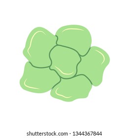 Flagstone or stone vector icon design. That rock or decorative material for home, landscape or garden by paving on ground and wall to create texture pattern. That patio, pavement, road, pathway, slab.