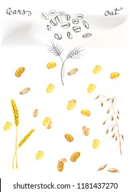 flakes and ears of wheat 3d realistic vector illustration