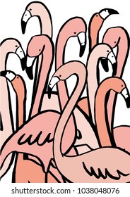 flamboyance of flamingo vector/illustration