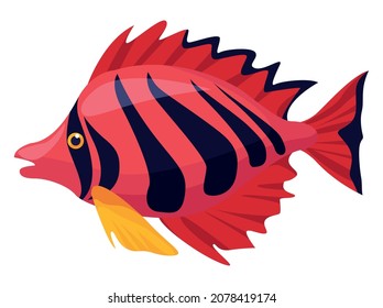 Flame Angelfish Exotic Sealife Icon