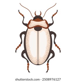 Fusca, inseto marrom. Inseto colorido. Espécie de inseto da natureza e biodiversidade. Ilustração plana do vetor do besouro.