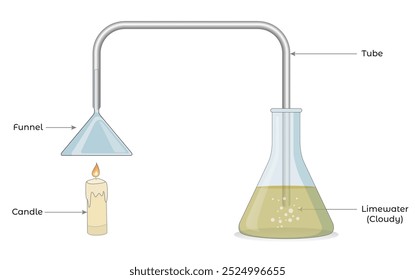 La llama de una vela, un tubo que termina en un embudo, dirige el gas liberado por la combustión a un recipiente que contiene agua con cal.
