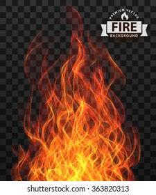 Flame Fire Vector Transparent Background Isolate Red Border Texture Hell Vector Fire Flame Frame Border Flame Fire Vector Transparent Background Isolate Red Border Texture Hell Danger Devil Explosion