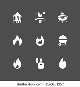 flame icon. 9 flame set with grill, lighter, camping and fire vector icons for web and mobile app