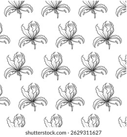 Flame lily flower Seamless Pattern Hand drawn vector line art, Black and White Flower isolated in white. Beautiful design for textile, wallpaper, wrapping paper and backgrounds