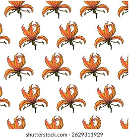 Flame lily flower Seamless Pattern Hand drawn vector line art, Multi colour orange Flower isolated in white. Beautiful design for textile, wallpaper, wrapping paper and backgrounds