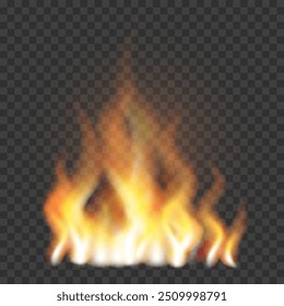 Flame. Realistic fire illustration. The fire is burning. Light effect. 